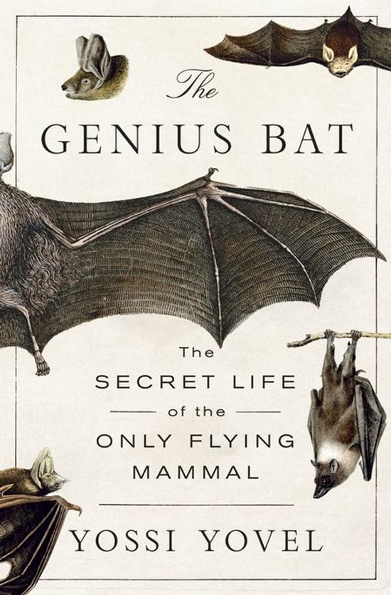 The Genius Bat - cover
