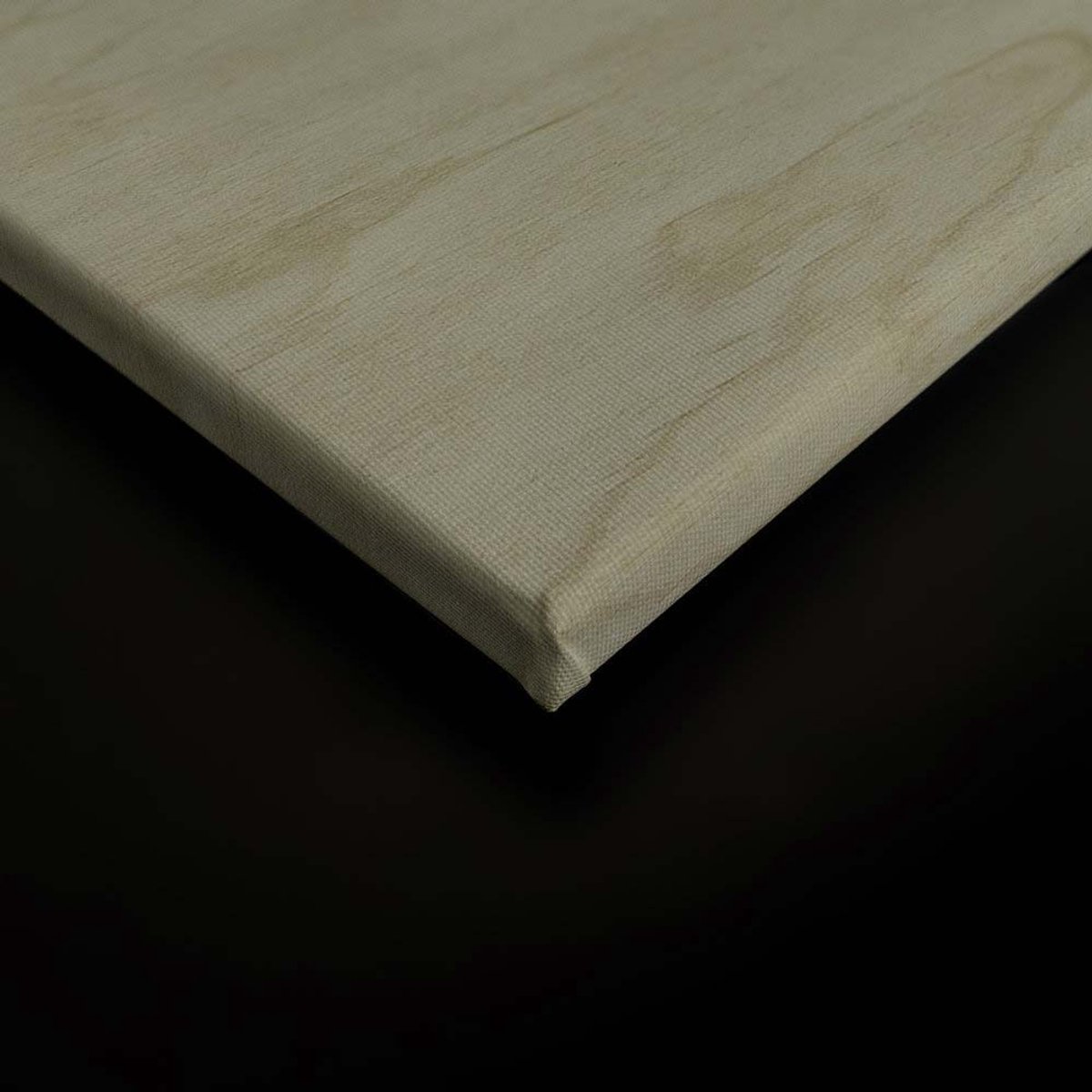 Canvas DD124723 Inlay2 A. S. Création