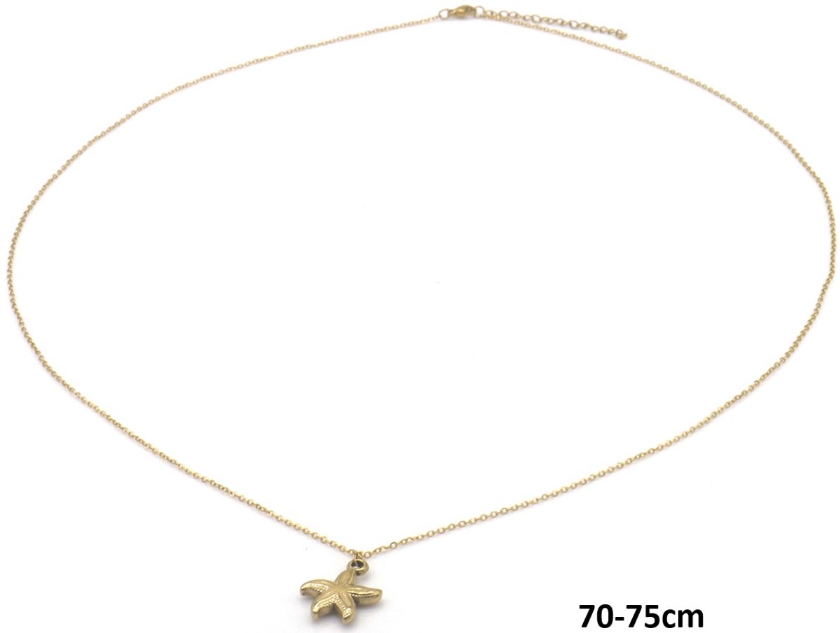 Ketting Zeester – RVS – 75cm
