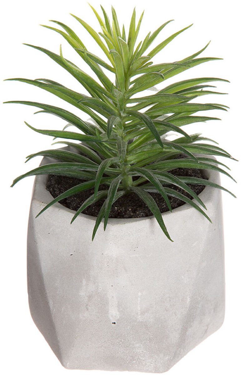 Atmosphera Kunstplant - Vetplant - Cement - 1 Stuk - Nepplant - Voor Binnen - Met Pot - Succulent
