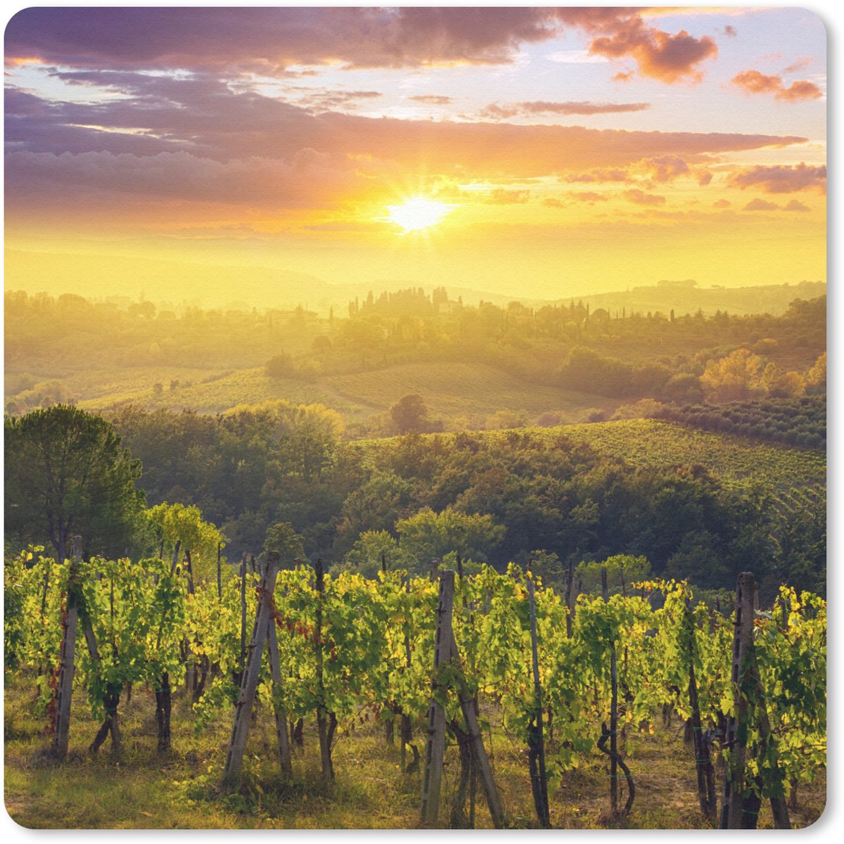 Muismat 20x20 cm - Mousepad Toscane - Italië - Druivenbomen - Muismatten