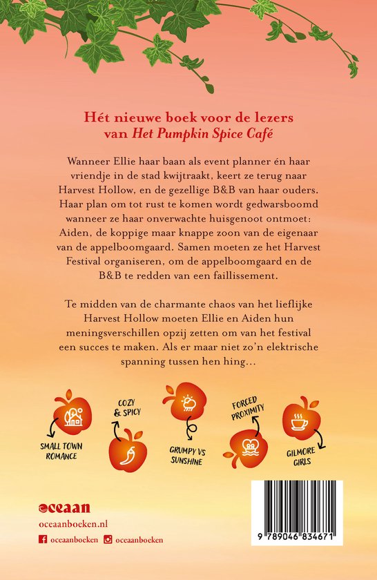 Achterkant van een boek met tekst en de titel 'De Apple Spice B&B', met de ondertitel 'De herfst brengt onverwacht een nieuwe liefde'.