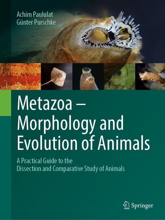Metazoa – Morphology and Evolution of Animals - cover
