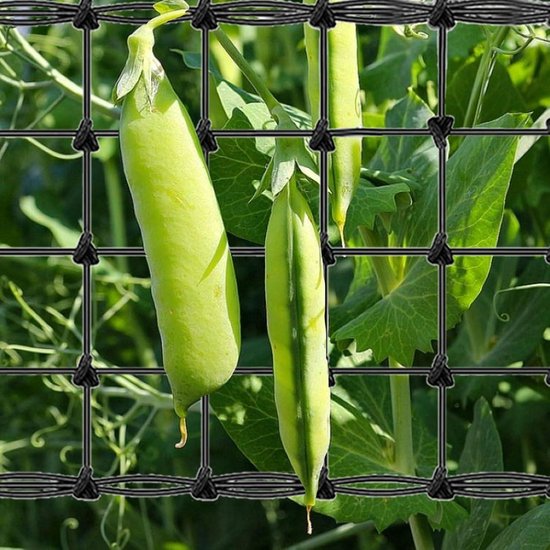 AC Infinity Kweektent plantennet elastisch, verschillende formaten