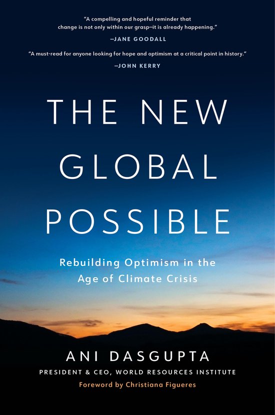 The New Global Possible - cover