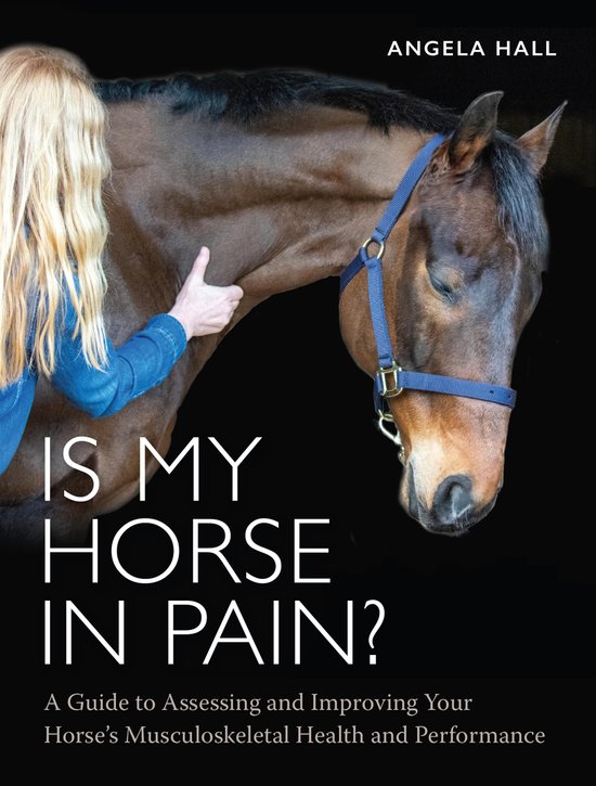 Is My Horse in Pain? - cover