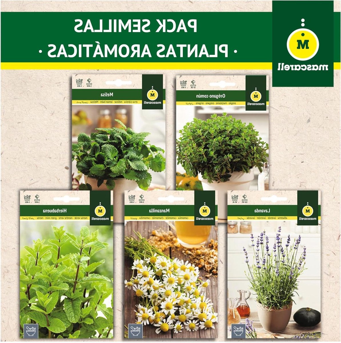 Zaden Mascarell Pakket Aromatische Planten - Munt, Kamille, Lavendel, Citroenmelisse & Oregano 37 Gram