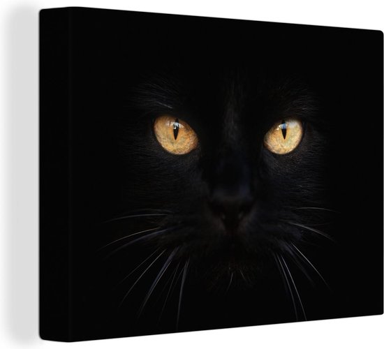 Gros plan sur toile chat noir 2cm 160x120 cm - Tirage photo sur toile  (Décoration... | bol.com