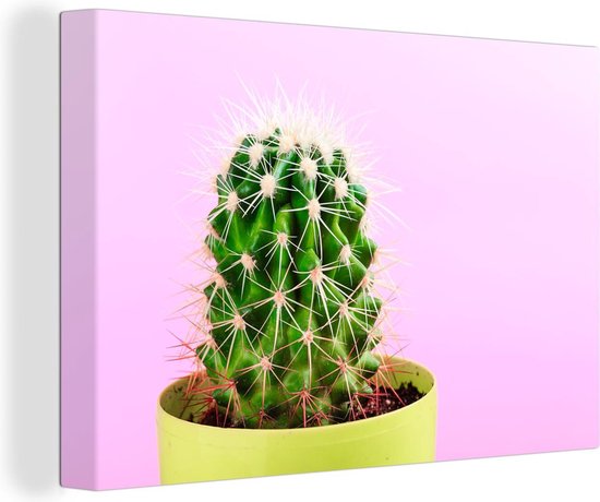 Canvas Schilderij Cactus in een pot op een roze achtergrond - 120x80 cm - Wanddecoratie