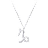 zilveren sterrenbeeld ketting steenbok | zodiac sign capricorn ketting dames | Zilverana | sieraden vrouw | Sterling 925 Silver