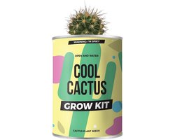 Kweek je eigen cactus