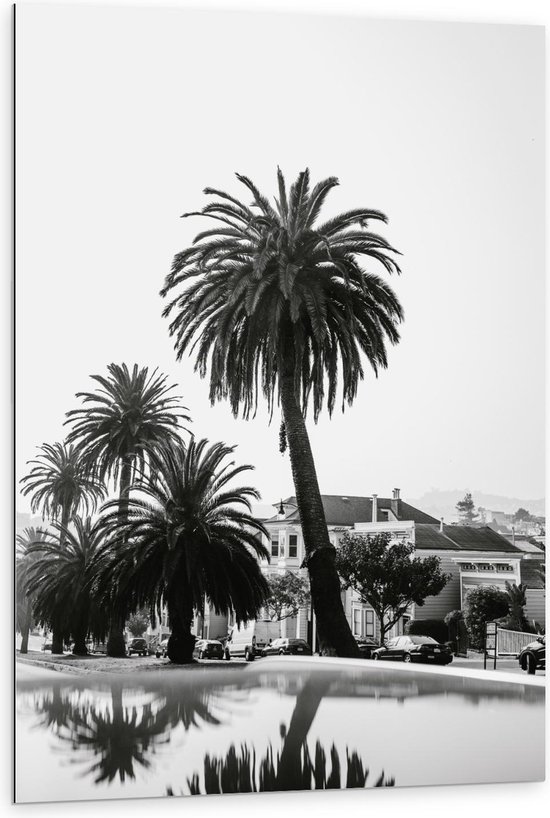 Dibond - Vakantieplekje met Palmbomen (zwart/wit) - 80x120cm Foto op Aluminium (Met Ophangsysteem)