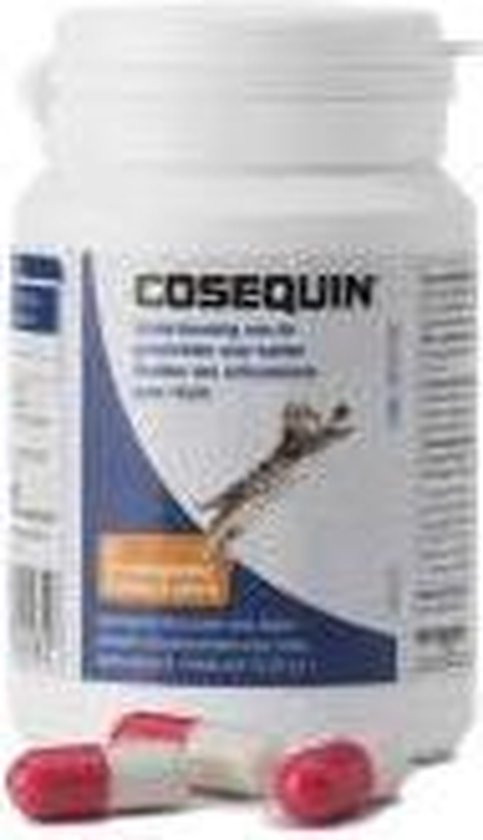 Cosequin 45 capsules kat