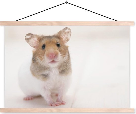 Staande bruin-witte hamster schoolplaat platte blank 60x40 cm - Foto print op... | bol.com