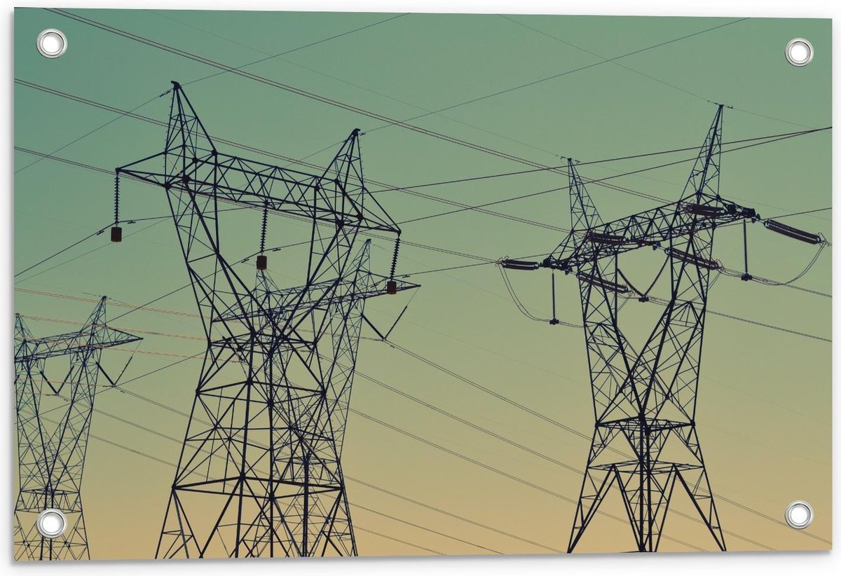 Tuinposter – Elektriciteit palen - 60x40cm Foto op Tuinposter (wanddecoratie voor buiten e
