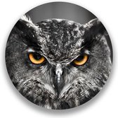 Wandcirkel Eagle Owl