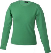 James and Nicholson Dames Lange Mouwen Tangy Tee (Groen)