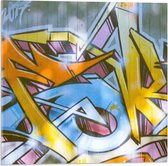 Acrylglas - Geel en Blauwe Graffiti op de Muur - 50x50cm Foto op Acrylglas (Met Ophangsysteem)