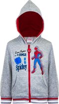 Marvel Spiderman vest grijs  maat 104