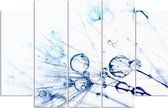 Schilderij , Waterdruppels op Paardenbloem 2 , 4 maten , 5 luik , blauw wit , Premium print , XXL