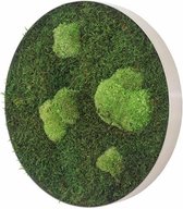 Stylegreen Ronde verticale tuin - Forest & Pole moss - Diameter 34cm