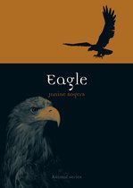 Animal - Eagle