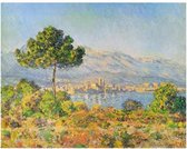 Claude Monet - Antibes, 1888 Kunstdruk 71x56cm