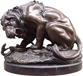 Beeld brons - Leeuw vs Slang - Sculptuur - 35 cm hoog