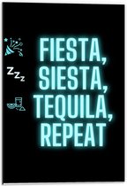 Dibond - Tekst: ''Fiesta, Siesta, Tequila, Repeat'' zwart/blauw met figuren - 40x60cm Foto op Aluminium (Wanddecoratie van metaal)