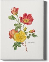 Walljar - Rosa Moyesii - Muurdecoratie - Poster met lijst