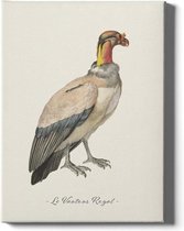 Walljar - Le Vautour Royal - Muurdecoratie - Plexiglas schilderij