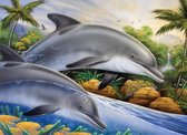 Schilderen op nummer - Paint by numbers -  Dolfijnenpaar 28.6x39cm - Schilderen op nummer volwassenen - Paint by numbers volwassenen