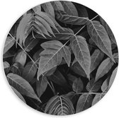 Forex Wandcirkel - Bladeren (zwart/wit) - 60x60cm Foto op Wandcirkel (met ophangsysteem)