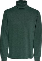 Onsdenver Roll Neck Sweat 22017720 Pine Grove