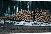 Dibond - Opgestapeld hout in het Bos - 120x80cm Foto op Aluminium (Met Ophangsysteem)