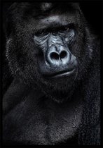 Punt. Poster - Gorilla - 70 X 50 Cm - Zwart