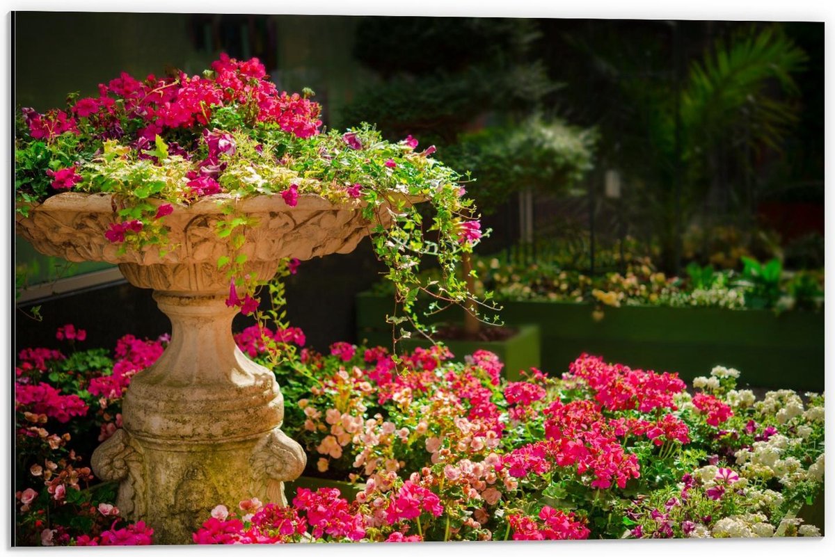 Dibond - Roze Bloemenstruik met Fontein - 60x40cm Foto op Aluminium (Wanddecoratie van met