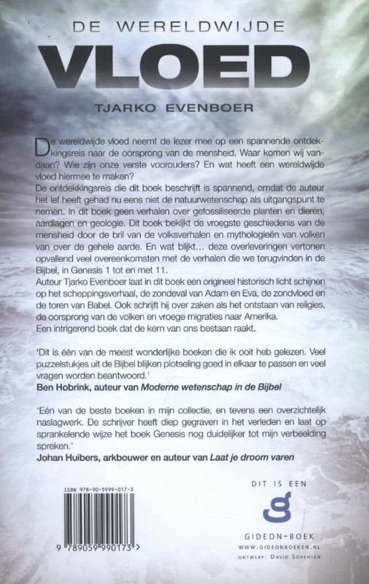 Achterkant boek 'De Wereldwijde Vloed'. Tekst met een grijze, rotsachtige achtergrond.