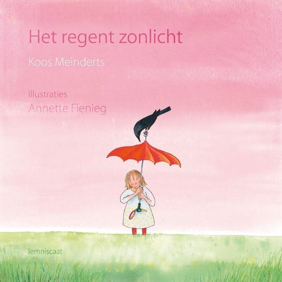 Het regent zonlicht - cover
