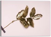 Dibond - Gouden Bladeren op Roze Achtergrond  - 40x30cm Foto op Aluminium (Wanddecoratie van metaal)