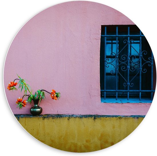 Forex Wandcirkel - Hangende Plant voor Roze Muur - 60x60cm Foto op Wandcirkel (met ophangsysteem)