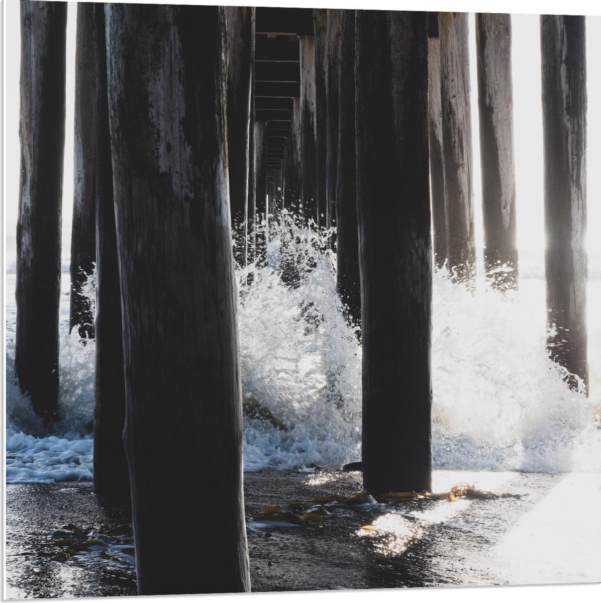 Forex - Palen van een Pier in het Water - 80x80cm Foto op Forex