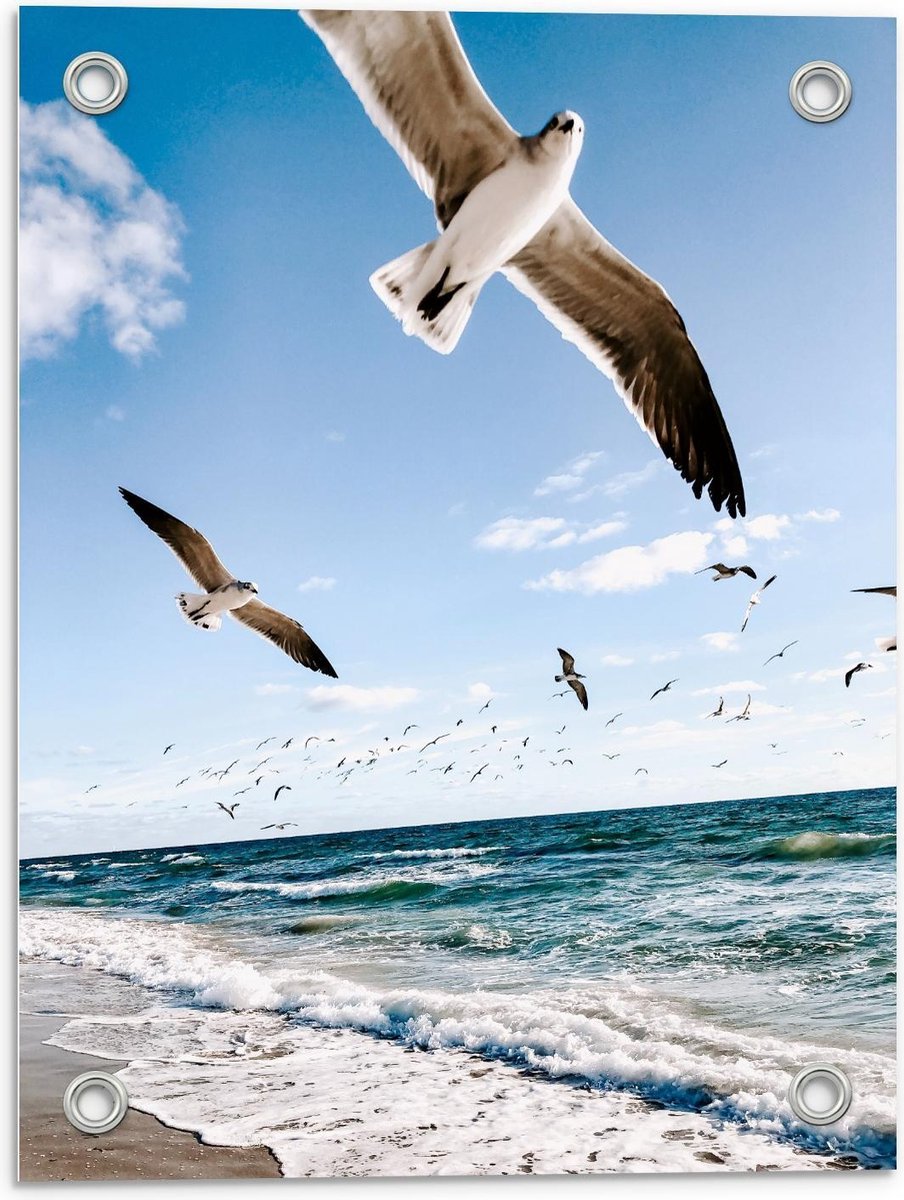 Tuinposter – Meeuwen boven de Zee - 30x40cm Foto op Tuinposter (wanddecoratie voor buiten en binnen)