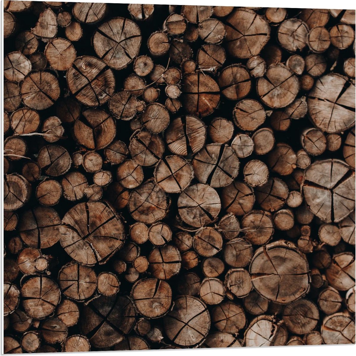 Forex - Houten Palen Opgestapeld - 80x80cm Foto op Forex