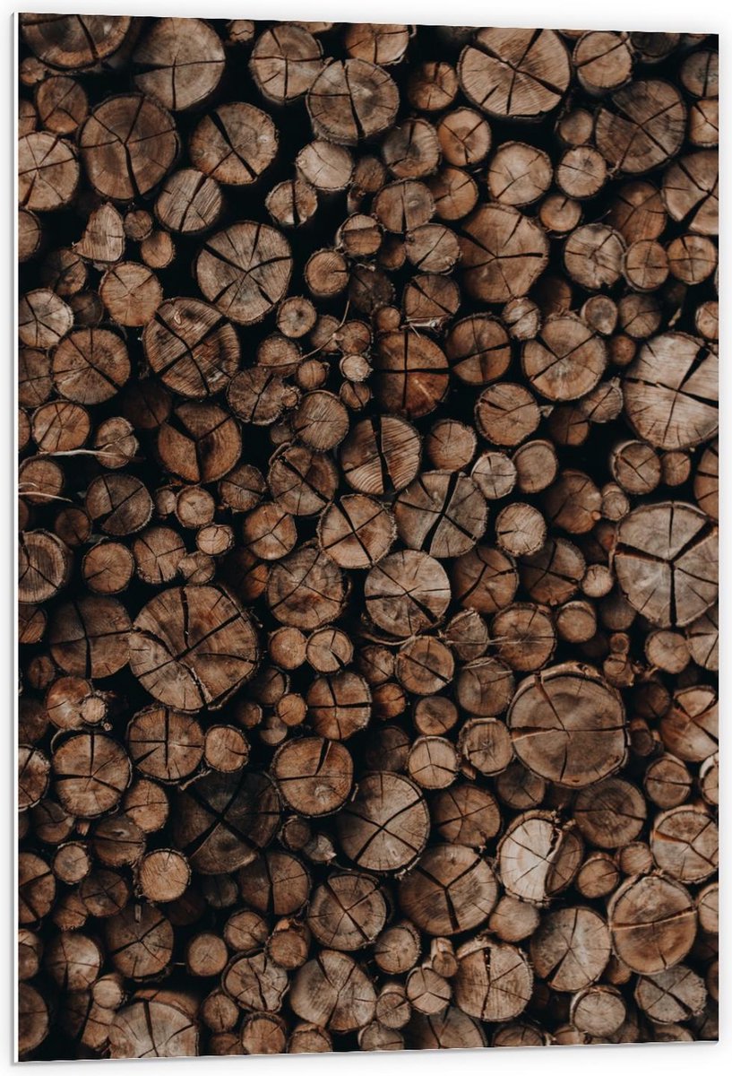 Forex - Houten Palen Opgestapeld - 60x90cm Foto op Forex