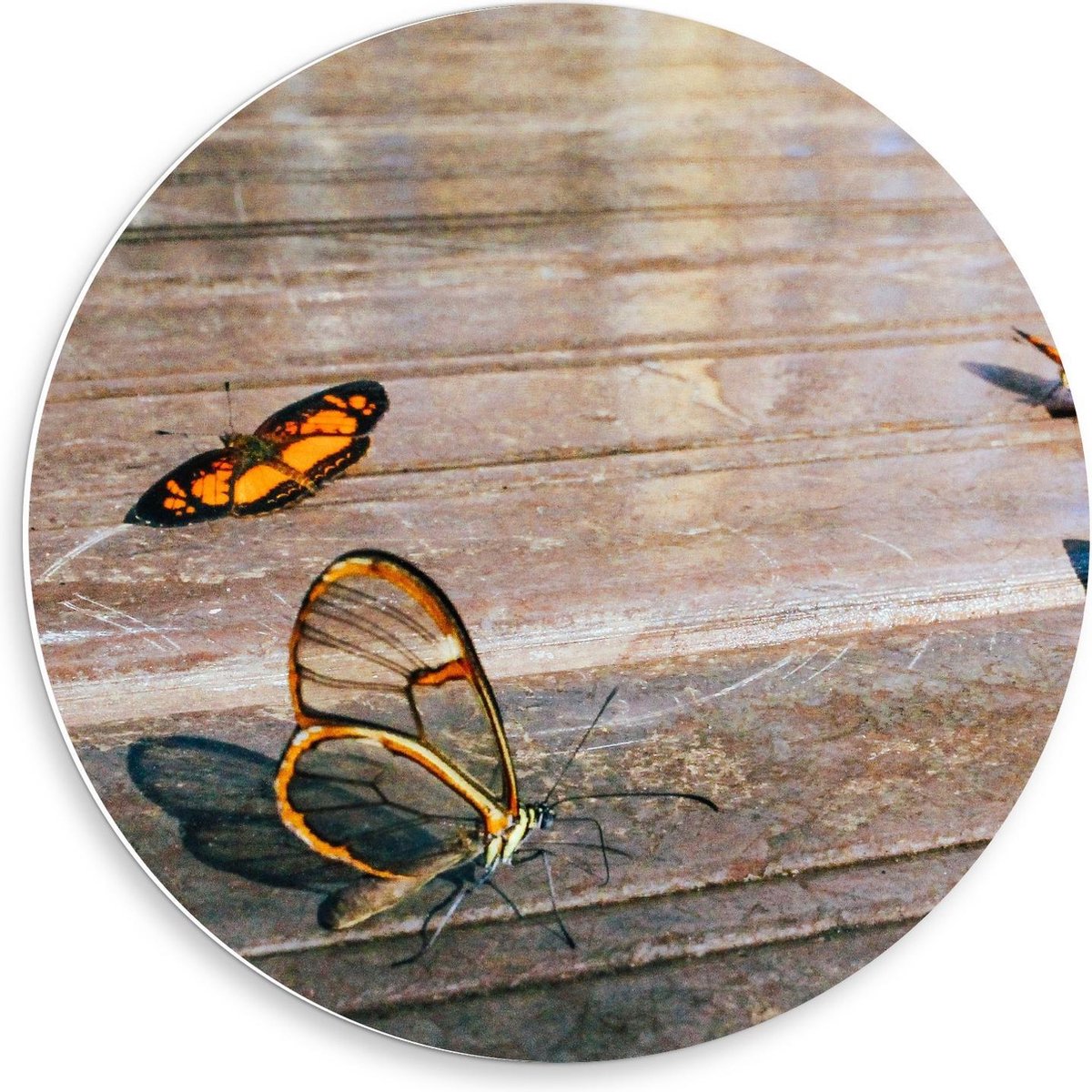 KuijsFotoprint - Schilderij - Vlinders Houten Vloer - Bruin En Oranje - 50 X 50 Cm