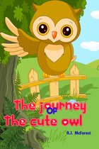 The Journey Of The Cute Owl