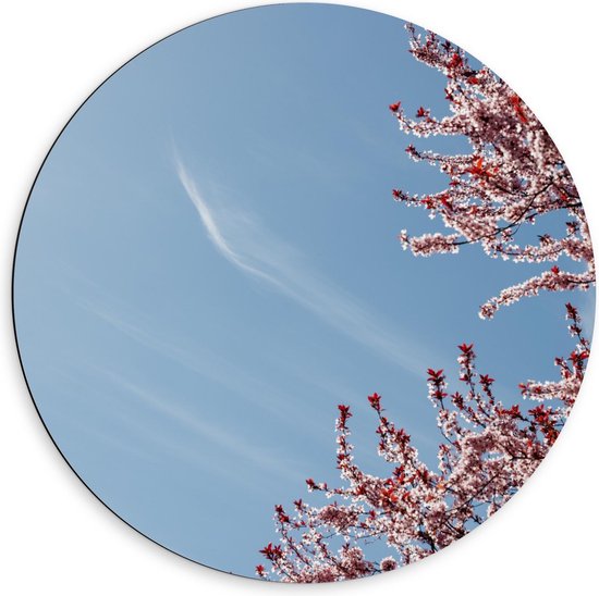 Dibond Wandcirkel - Bloesemboom bij Blauwe Lucht - 60x60cm Foto op Aluminium Wandcirkel (met ophangsysteem)