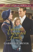 Little Falls Legacy 2 - Inherited: Unexpected Family