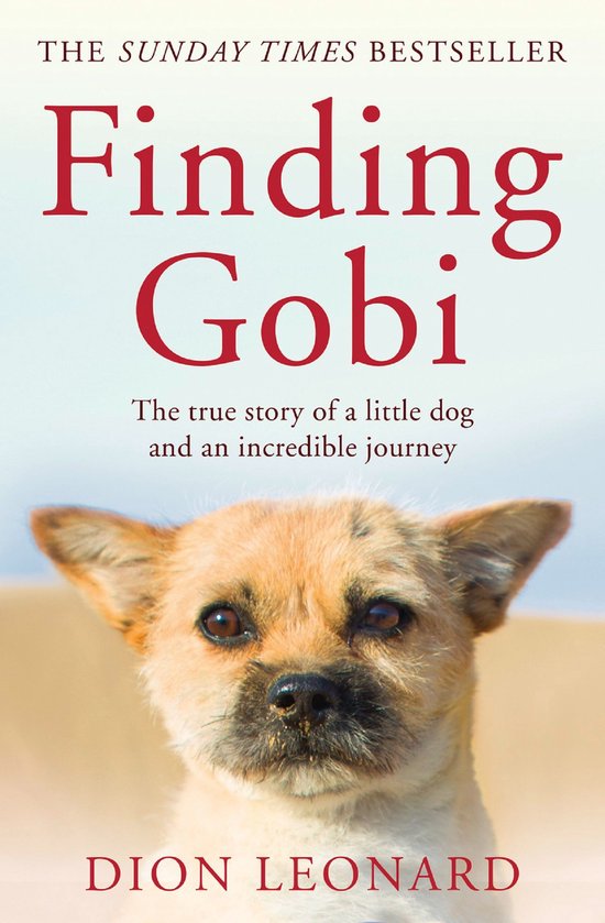 Foto: Finding gobi main edition the true story of a little dog and an incredible journey